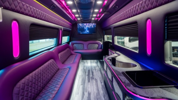 denton sprinter limo rental inside