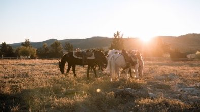 florence ranch